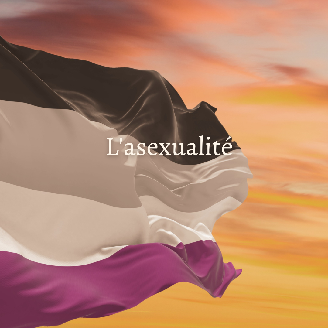 asexualité définition sextoy vibro sex toy
