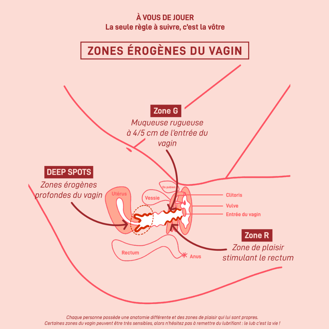 Schema des zones érogènes du vagin deep spots zone R zone G spot plaisir vaginale pénétration tuto