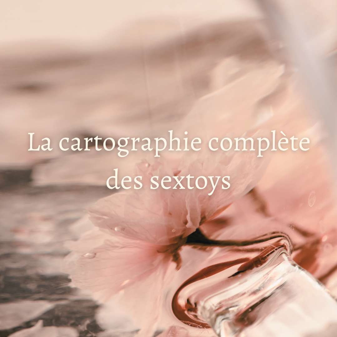 La cartographie complète des sextoys