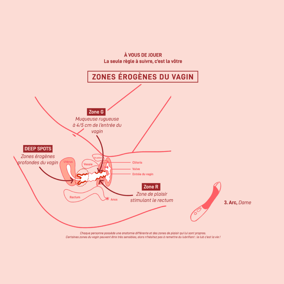 Schéma explicatif détaillé des zones érogènes du vagin pour une pénétration plus consciente vibro